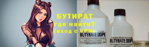 сатива Аркадак