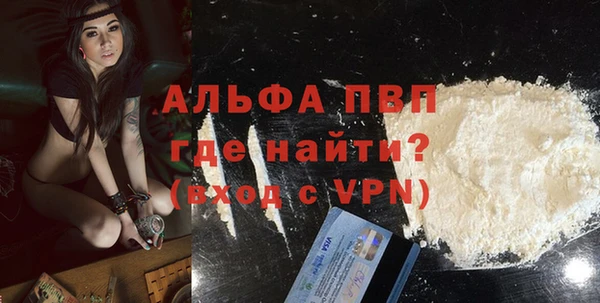 сатива Аркадак