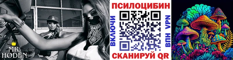 Псилоцибиновые грибы Cubensis Аша